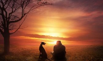 Дыра в бумажном небе