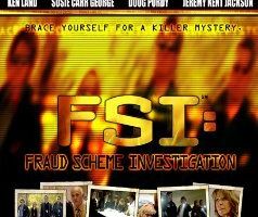 FSI: Fraud Scheme Investigation