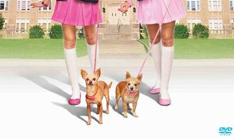 Блондинки в законе