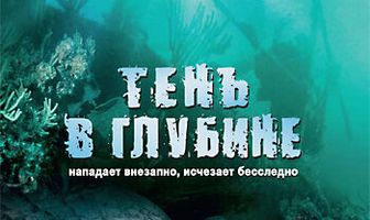 Тень в глубине