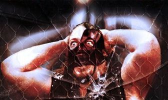 TNA Не сдаваться