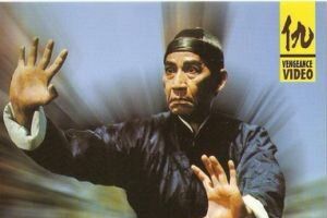 Великолепный удар ногой