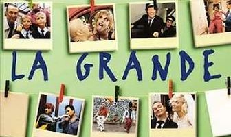 Большая слива