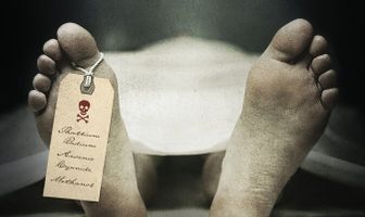 Американское приключение