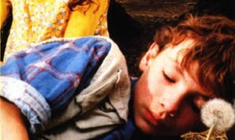 Игра с одуванчиками