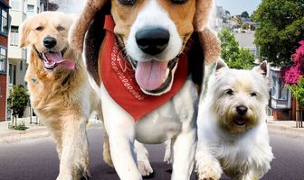 Большое приключение Оззи и Теда