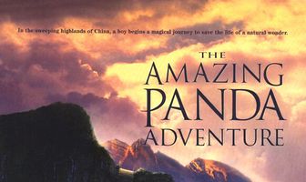 Удивительное приключение панды
