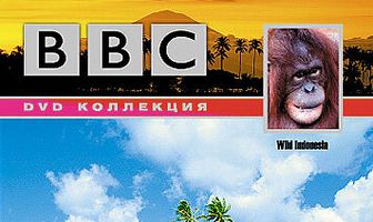 BBC: По странам и континентам. Индонезия