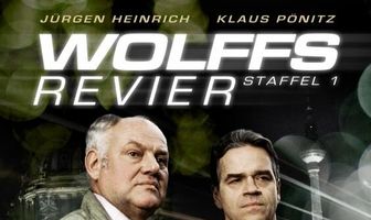 Закон Вольфа