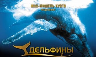 Дельфины и киты 3D