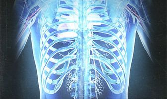 Невероятное тело человека