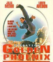 Операция «Золотой Феникс»