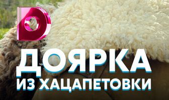 Доярка из Хацапетовки