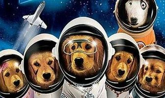 Космические друзья