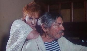 Цветы календулы