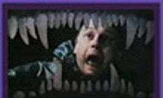 Полигон один