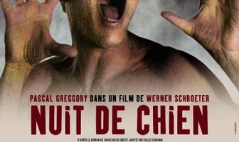 Собачья ночь