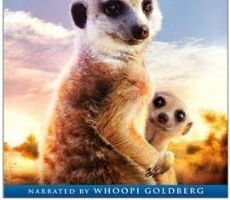 Поместье сурикатов: Начало истории