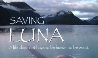 Saving Luna
