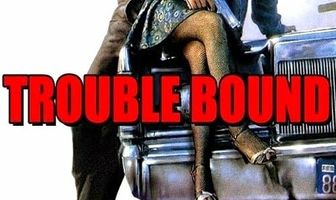 Впереди одни неприятности