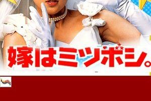 Трёхзвездочная жена