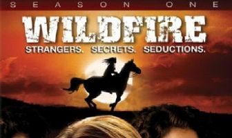 Дикий огонь