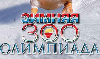 BBC: Зимняя Зоо олимпиада