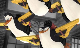 Пингвины из Мадагаскара