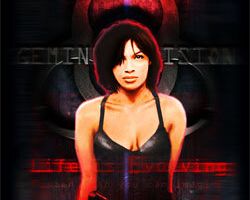 Gemini Division