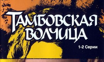 Тамбовская волчица
