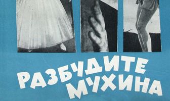 Разбудите Мухина!