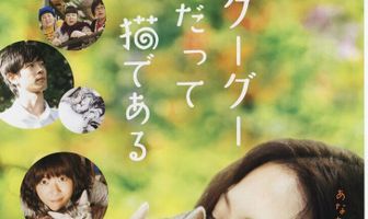 Кот по имени Гу-Гу