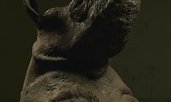 Этажом выше