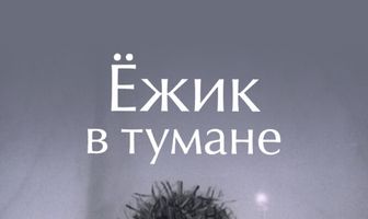 Ёжик в тумане