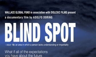 Blind Spot