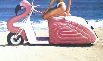 Парень из «Фламинго»