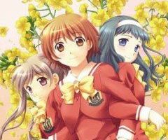 Касимаси: Девушка встречает девушку