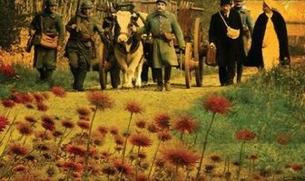 Путешествие вдовы