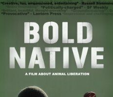 Bold Native