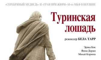 Туринская лошадь