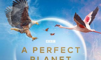 Идеальная планета