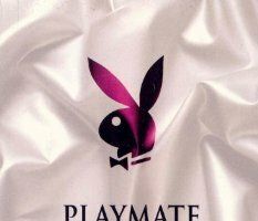 Playboy Video Playmate Calendar 1993