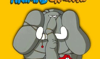 Кутерьма в мире зверья