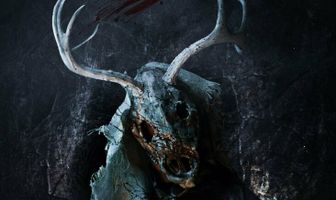 Файер Айленд