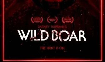 Wild Boar