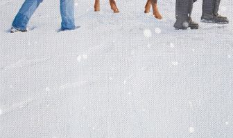 Ферма братьев Чон