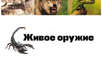 Живое оружие