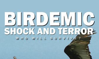 Птицекалипсис: Шок и трепет