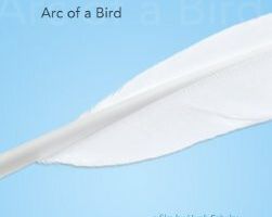 Arc of a Bird