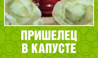 Пришелец в капусте